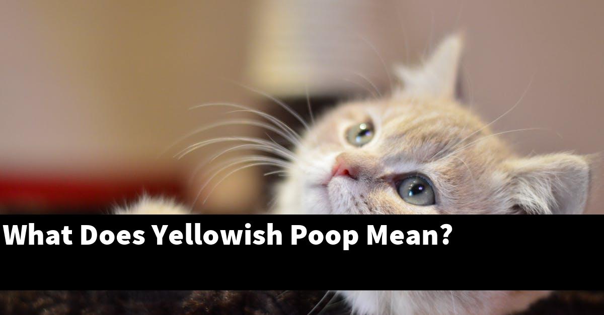 What Does Yellowish Poop Mean?