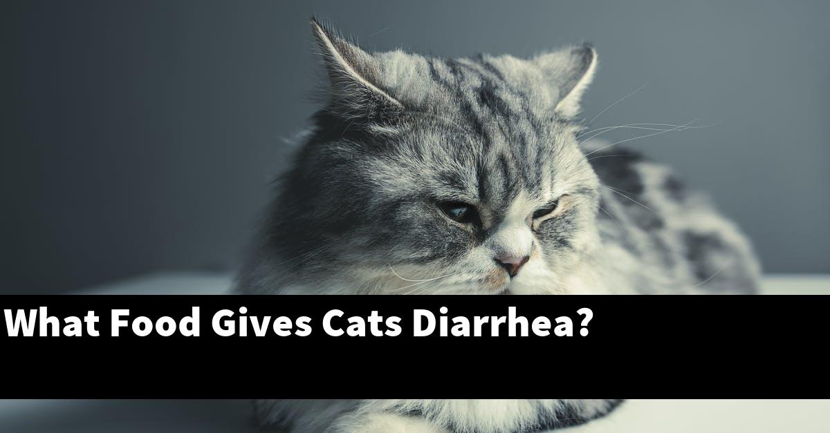 What Food Gives Cats Diarrhea?