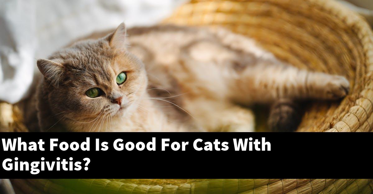 What Food Is Good For Cats With Gingivitis?