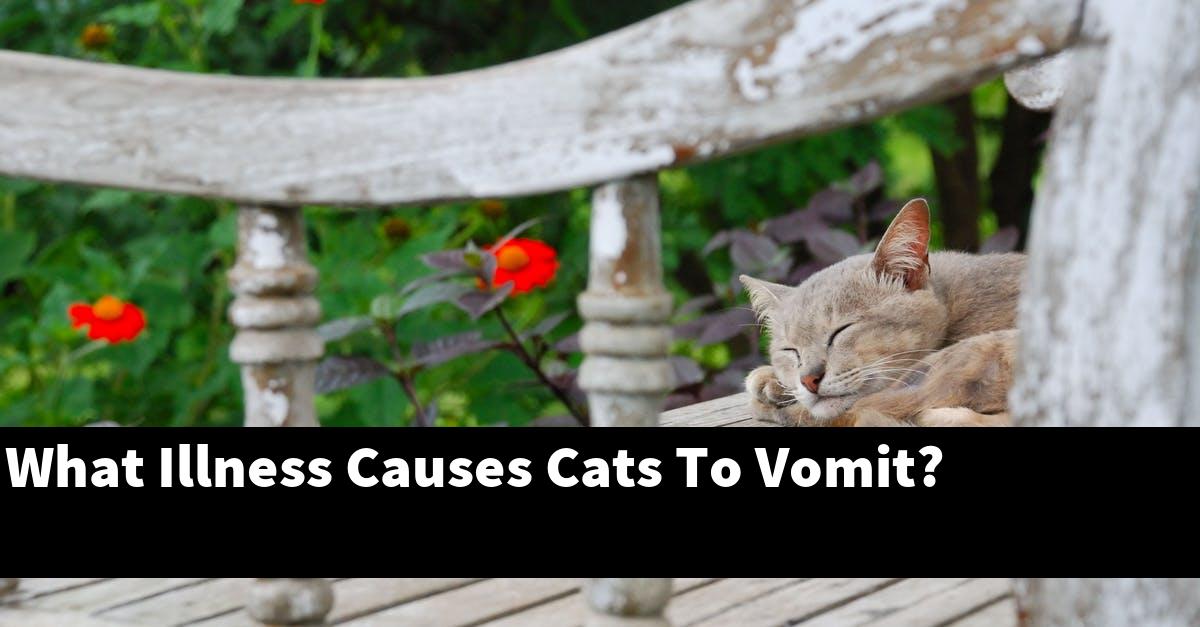 What Illness Causes Cats To Vomit?