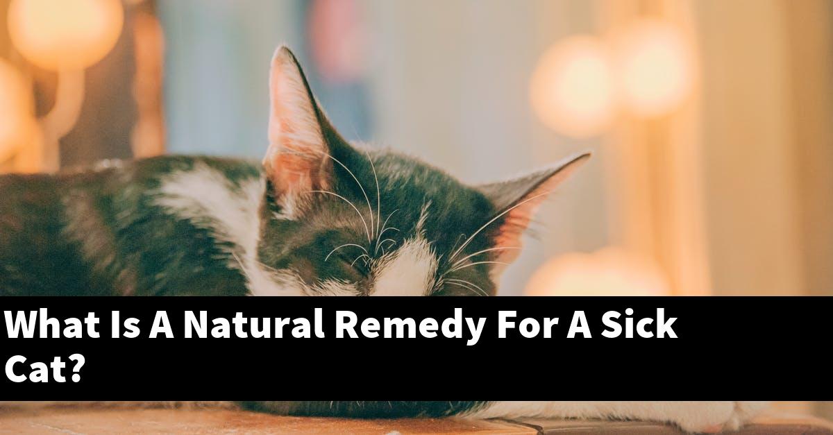 What Is A Natural Remedy For A Sick Cat?