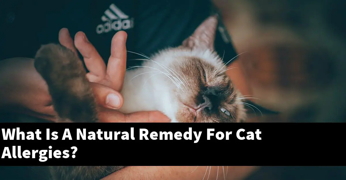 What Is A Natural Remedy For Cat Allergies?