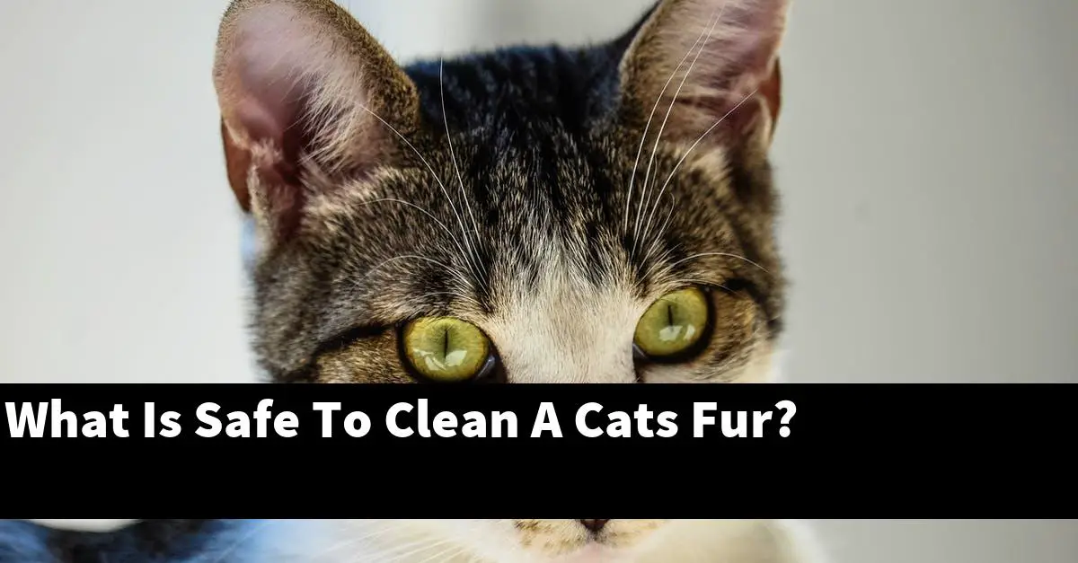 What Is Safe To Clean A Cats Fur?