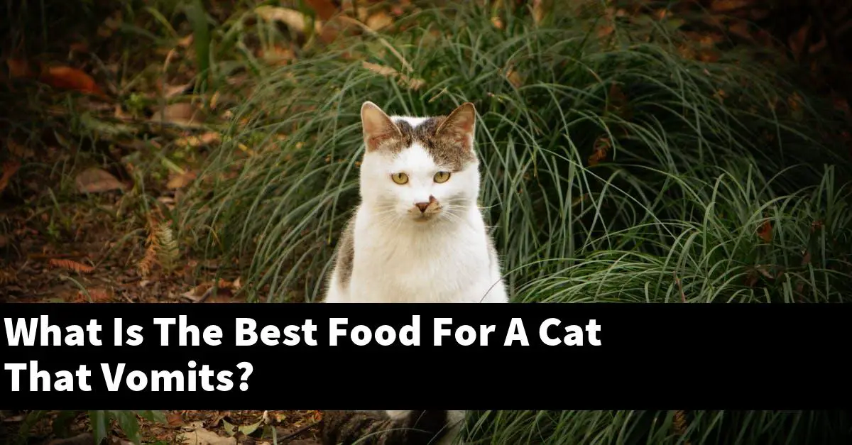 What Is The Best Food For A Cat That Vomits?