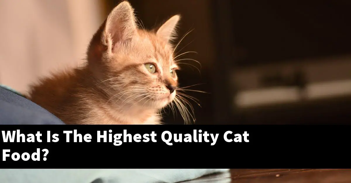 What Is The Highest Quality Cat Food?