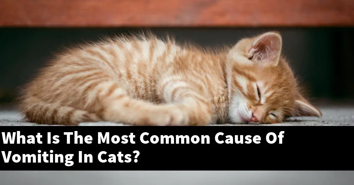 What Is The Most Common Cause Of Vomiting In Cats?