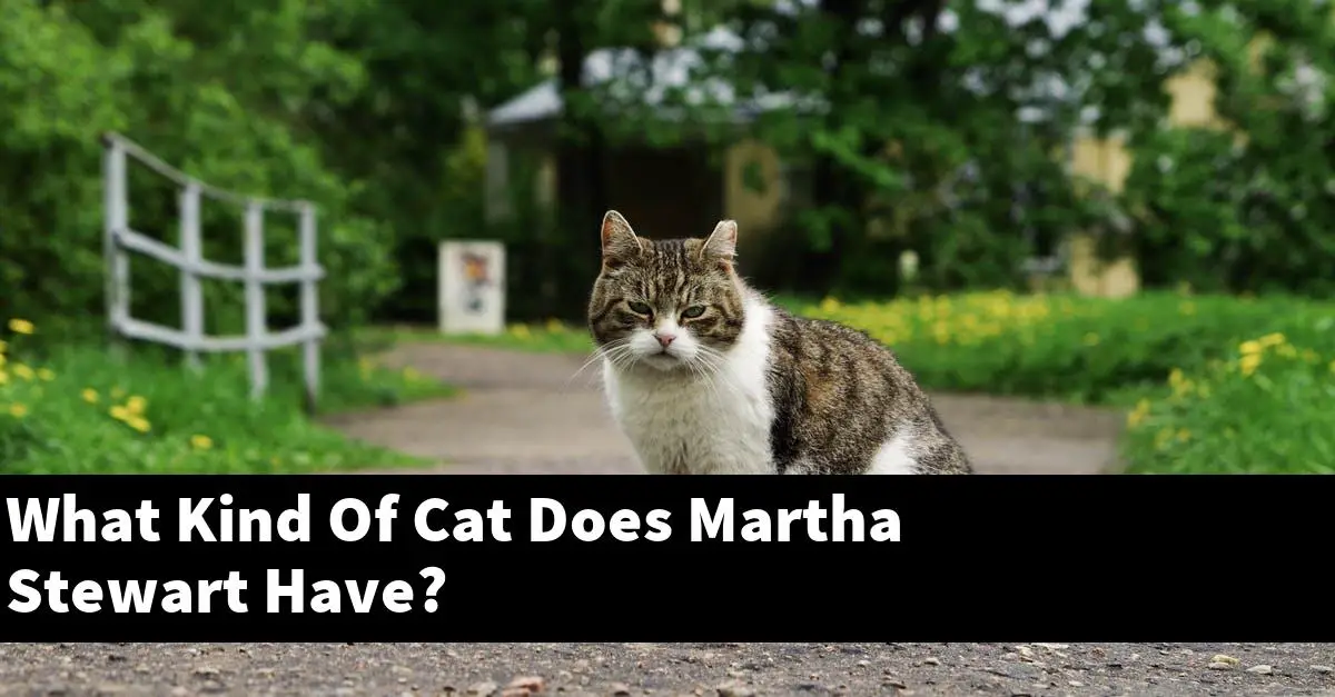 What Kind Of Cat Does Martha Stewart Have?