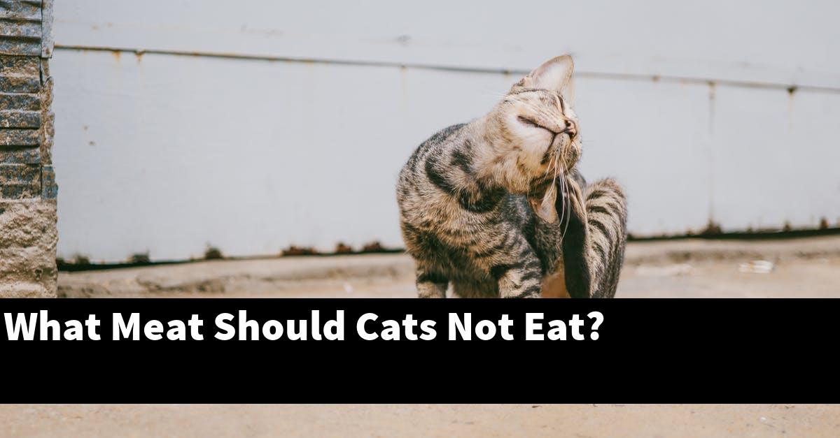 What Meat Should Cats Not Eat?