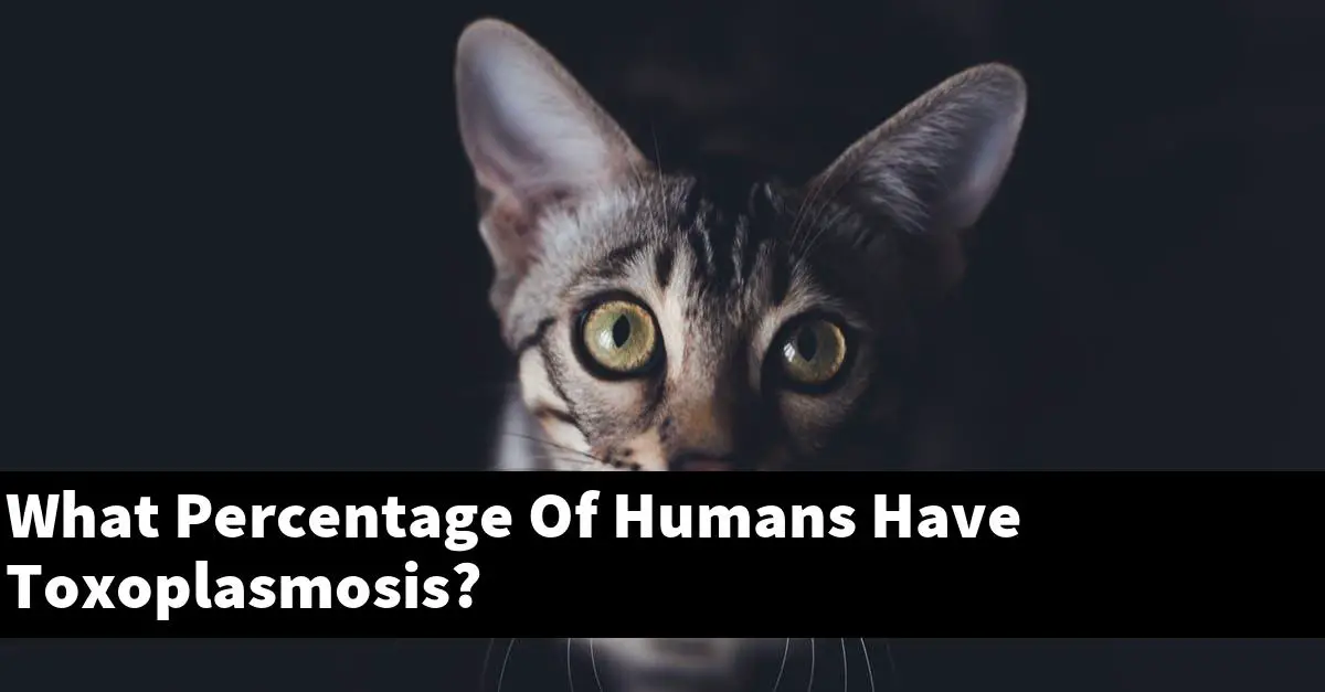 What Percentage Of Humans Have Toxoplasmosis?