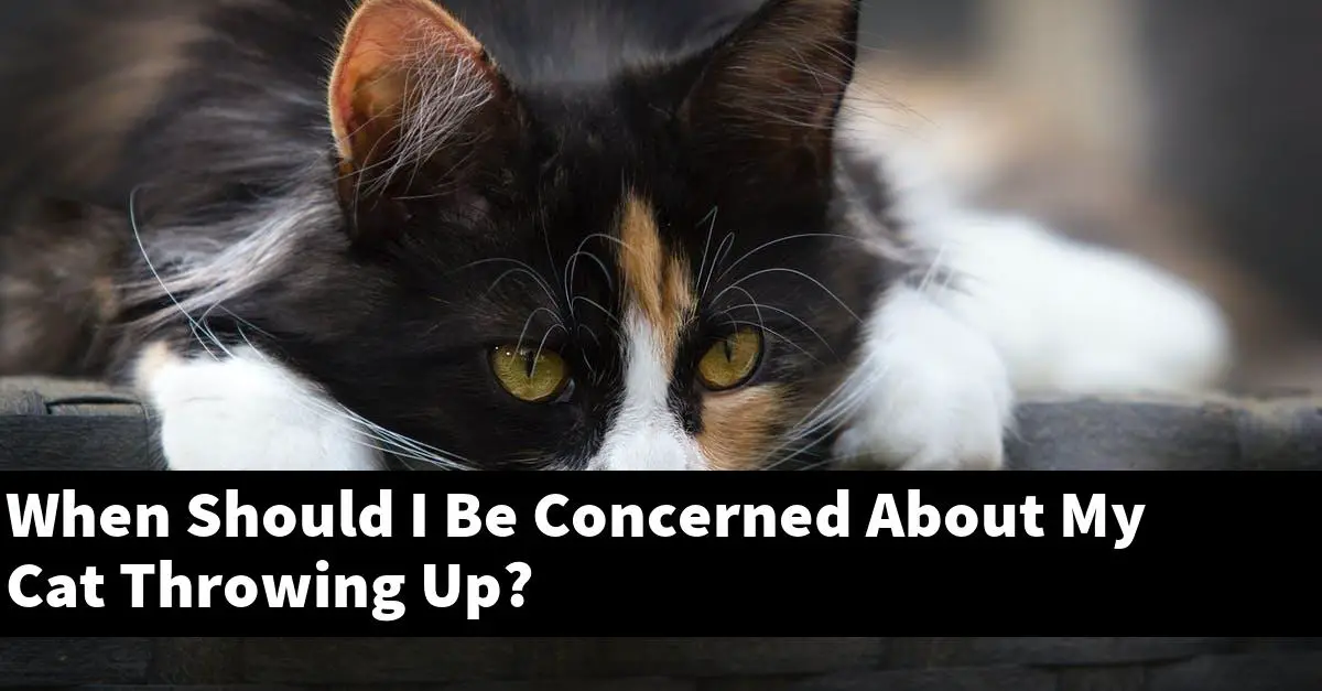 When Should I Be Concerned About My Cat Throwing Up?