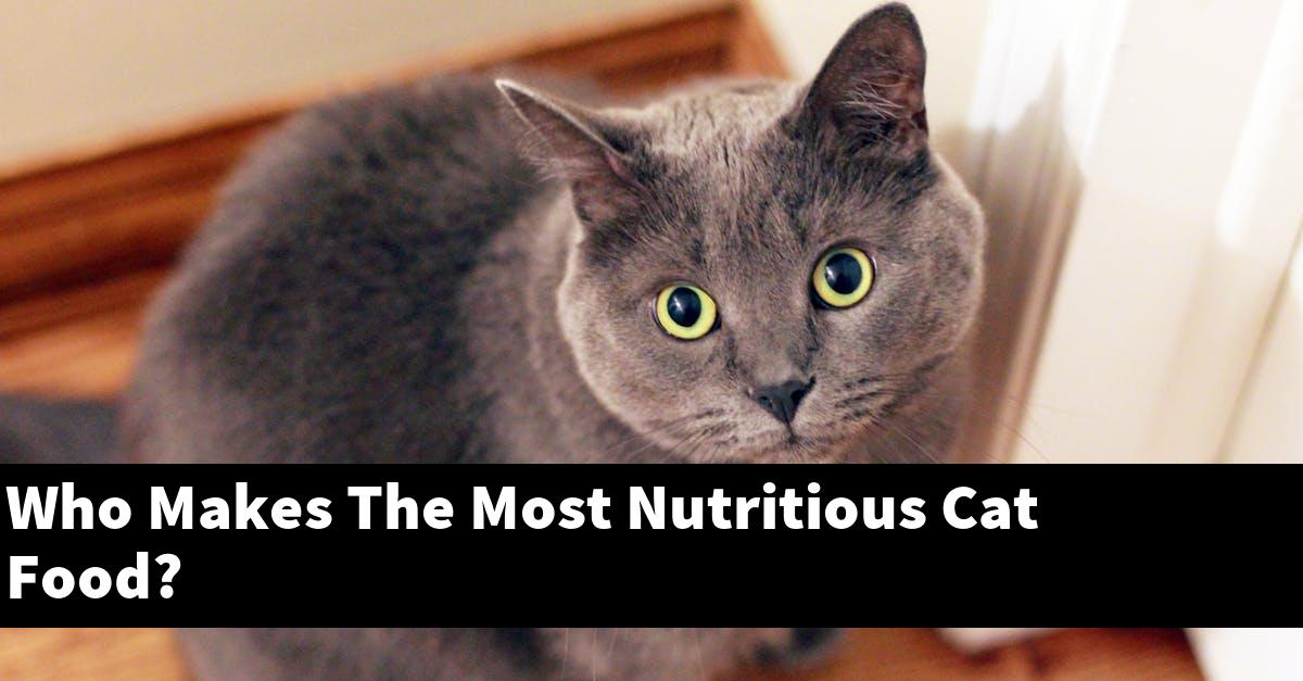 Who Makes The Most Nutritious Cat Food?