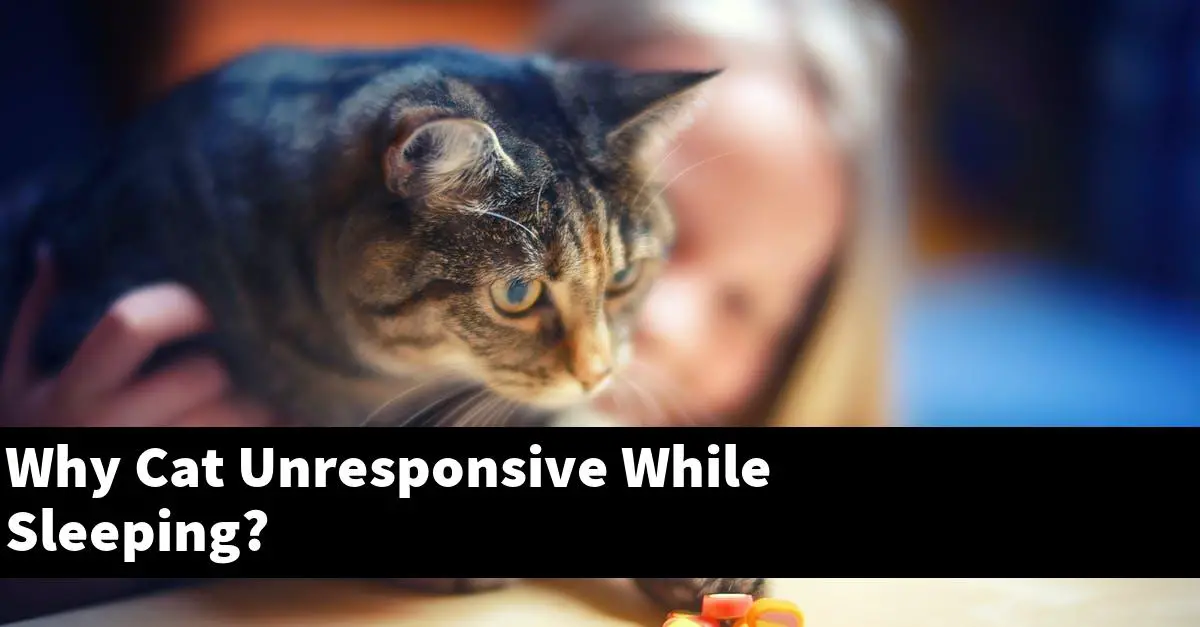 Why Cat Unresponsive While Sleeping?