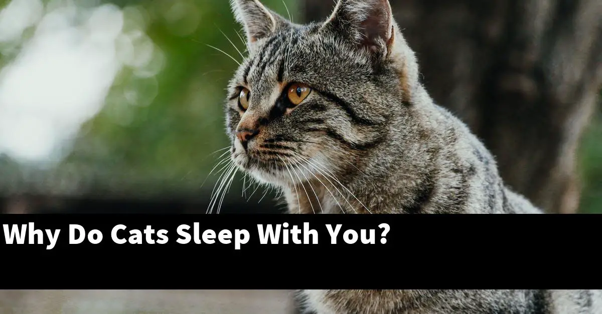 Why Do Cats Sleep With You?