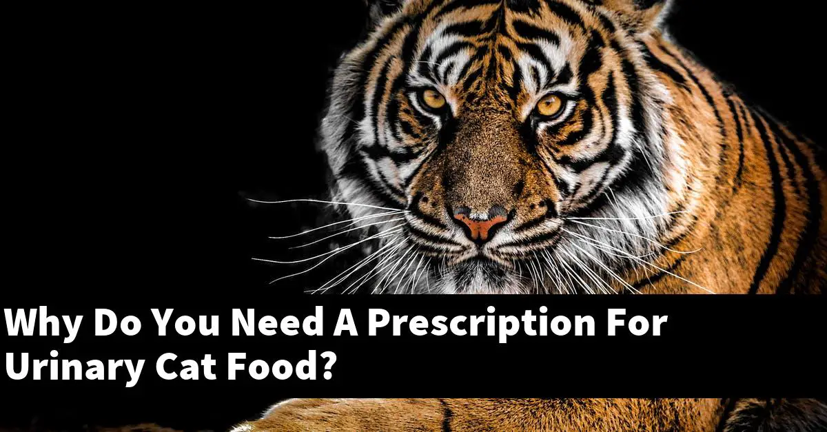 Why Do You Need A Prescription For Urinary Cat Food?