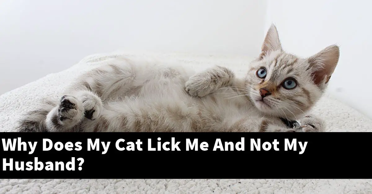 Why Does My Cat Lick Me And Not My Husband?