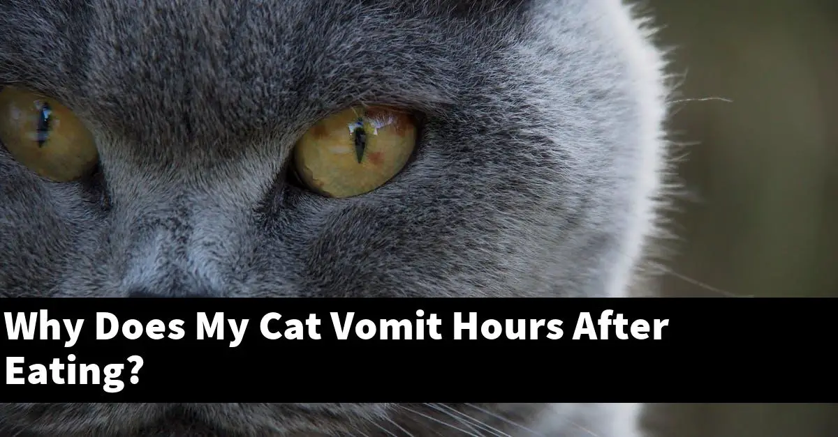 Why Does My Cat Vomit Hours After Eating?