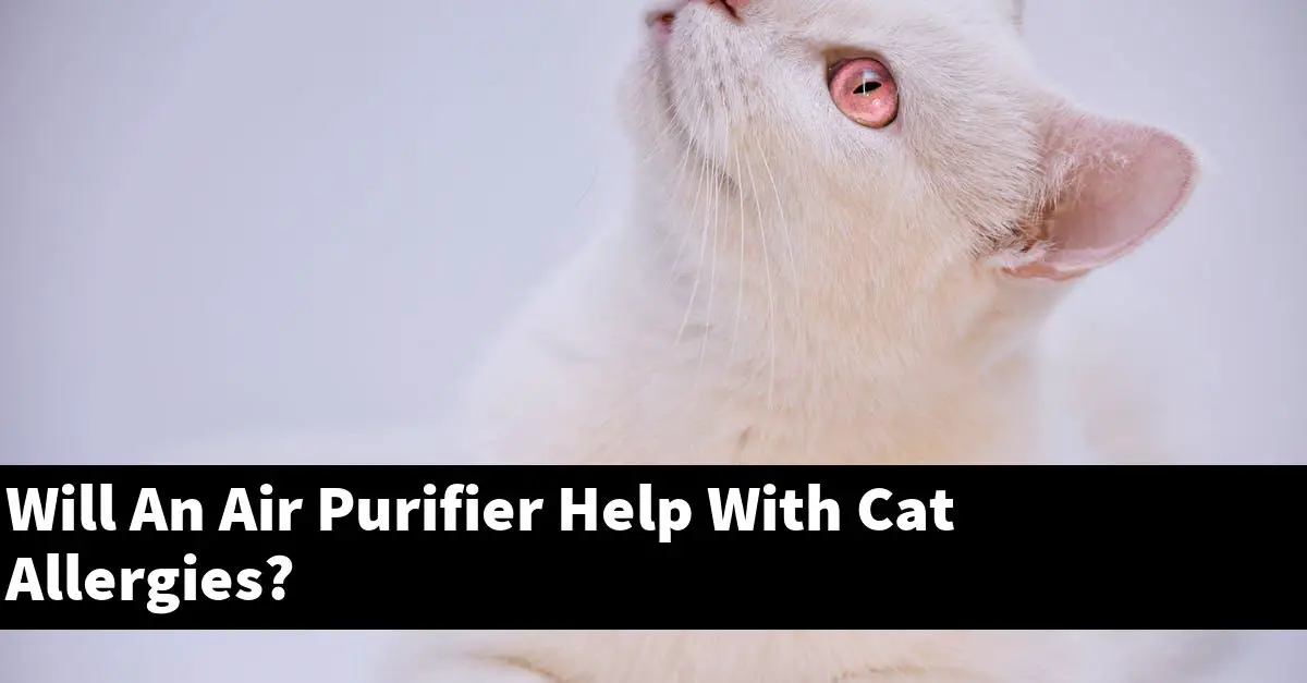 Will An Air Purifier Help With Cat Allergies?