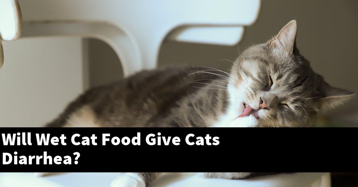 Will Wet Cat Food Give Cats Diarrhea?